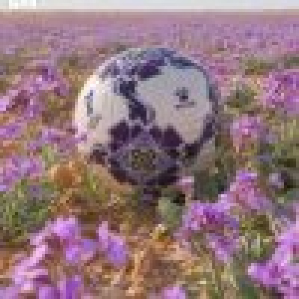 تحمل اسم الخ زامى الاتحاد الآسيوي لكرة القدم يعلن الكرة الرسمية لـ كأس آسيا السعودية 2027 تحمل اسم الخ زامى الاتحاد الآسيوي لكرة القدم يعلن الكرة الرسمية لـ كأس آسيا السعودية 2027