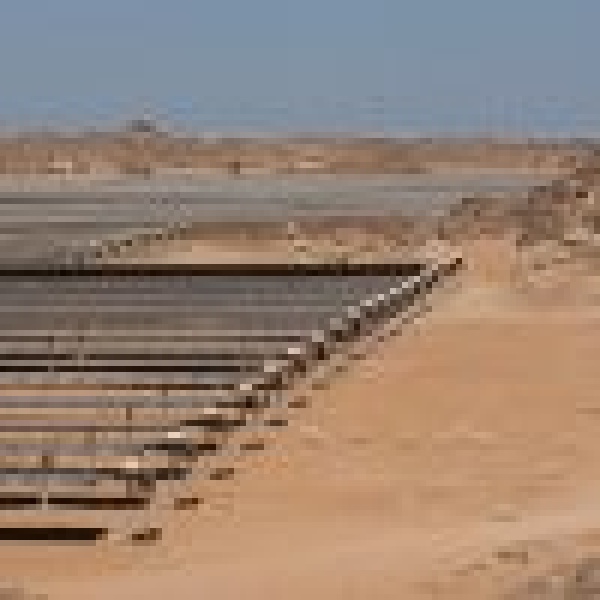 محمية الأمير محمد بن سلمان تسجل سابقة عالمية بإكثار غزال الرمل داخل محطة للطاقة الشمسية محمية الأمير محمد بن سلمان تسجل سابقة عالمية بإكثار غزال الرمل داخل محطة للطاقة الشمسية
