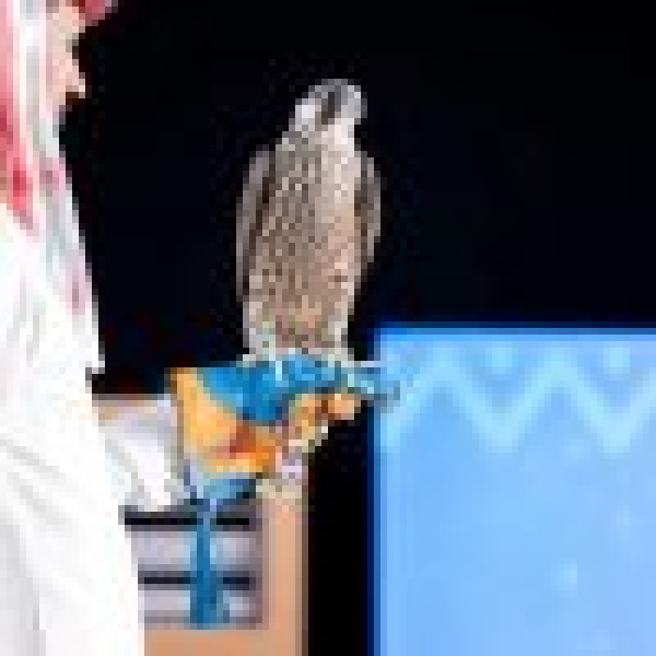 بيع صقرين بـ374 ألف ريال في رابع ليالي مزاد المركز الوطني للصقور بيع صقرين بـ374 ألف ريال في رابع ليالي مزاد المركز الوطني للصقور