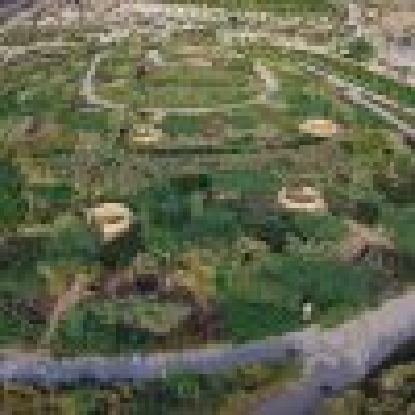الرياض الخضراء يواصل تنفيذ مشاريع الحدائق الثلاث الكبرى بنسبة إنجاز أكثر من 85