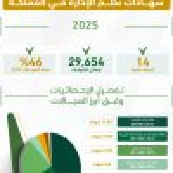 المملكة تقفز إلى المرتبة الـ14 عالمي ا في شهادات نظم الإدارة بنمو 46 المملكة تقفز إلى المرتبة الـ14 عالمي ا في شهادات نظم الإدارة بنمو 46