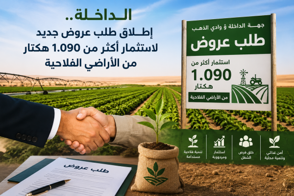 الداخلة إطلاق طلب عروض جديد لاستثمار أكثر من 1 090 هكتار من الأراضي الفلاحية الداخلة إطلاق طلب عروض جديد لاستثمار أكثر من 1 090 هكتار من الأراضي الفلاحية