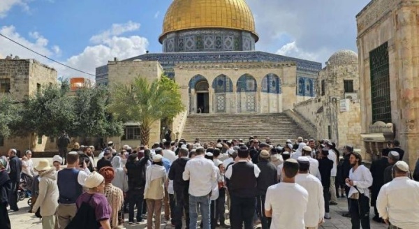 540 انتهاكا من قوات العدو الإسرائيلي ومستوطنيه في القدس خلال يونيو 540 انتهاكا من قوات العدو الإسرائيلي ومستوطنيه في القدس خلال يونيو