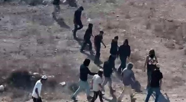 جنين مستوطنون يعتدون على طواقم شركة الكهرباء وينفذون جولات استفزازية جنين مستوطنون يعتدون على طواقم شركة الكهرباء وينفذون جولات استفزازية