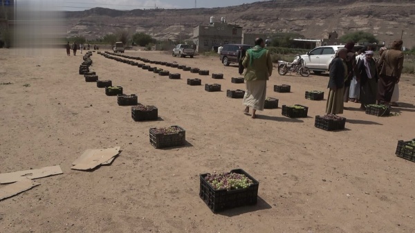 بني حشيش تقدم قوافل عنب دعم ا للمرابطين في الجبهات بني حشيش تقدم قوافل عنب دعم ا للمرابطين في الجبهات