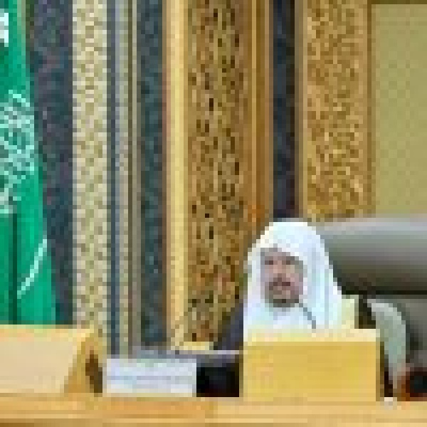 الشورى يطالب هيئة تنظيم الكهرباء بمتابعة التزام المنشآت الحكومية الحيوية والحساسة بتوفير مصدر احتياطي للطاقة الكهربائية الشورى يطالب هيئة تنظيم الكهرباء بمتابعة التزام المنشآت الحكومية الحيوية والحساسة بتوفير مصدر احتياطي للطاقة الكهربائية
