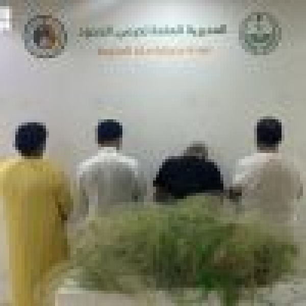 حرس الحدود بمنطقة مكة يضبط 4 مخالفين لمزاولي الأنشطة البحرية في المناطق البحرية للمملكة