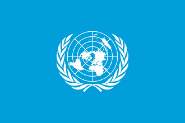 الأمم المتحدة تدعو إلى تجديد الدعم لنظام الإجراءات الخاصة في مواجهة حملات التشويه والتضليل الأمم المتحدة تدعو إلى تجديد الدعم لنظام الإجراءات الخاصة في مواجهة حملات التشويه والتضليل