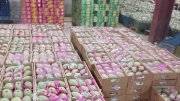 تهامة تحصد ثمار نهضتها الزراعية الصادرات تتجاوز 40 مليار ريال خلال ستة أعوام