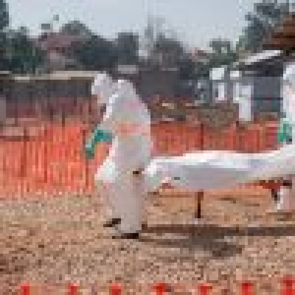 الصحة الكونغولية ارتفاع حصيلة ضحايا إيبولا إلى 2973 إصابة مؤكدة و1309 حالات وفاة الصحة الكونغولية ارتفاع حصيلة ضحايا إيبولا إلى 2973 إصابة مؤكدة و1309 حالات وفاة