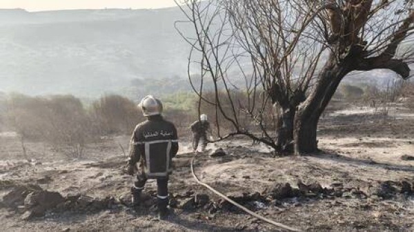 اندلاع 127 حريقا في الجزائر خلال 24 ساعة صور اندلاع 127 حريقا في الجزائر خلال 24 ساعة صور