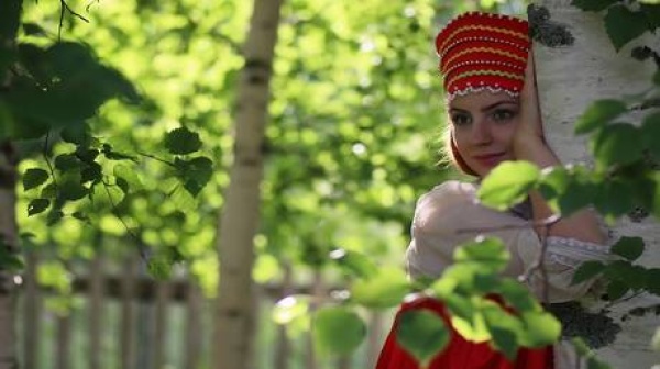 شجرة البتولا الرمز الذي لا تكتمل صورة روسيا من دونه