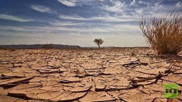 ليبيا تفقد 390 هكتارا من الغطاء الشجري خلال 25 عاما ليبيا تفقد 390 هكتارا من الغطاء الشجري خلال 25 عاما