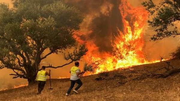 12 قتيلا في الجزائر وجيجل الأكثر تضررا فيديو 12 قتيلا في الجزائر وجيجل الأكثر تضررا فيديو