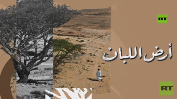 أرض اللبان في مهرجان قازان رحلة سينمائية تكشف أسرار الشجرة العمانية الأسطورية أرض اللبان في مهرجان قازان رحلة سينمائية تكشف أسرار الشجرة العمانية الأسطورية