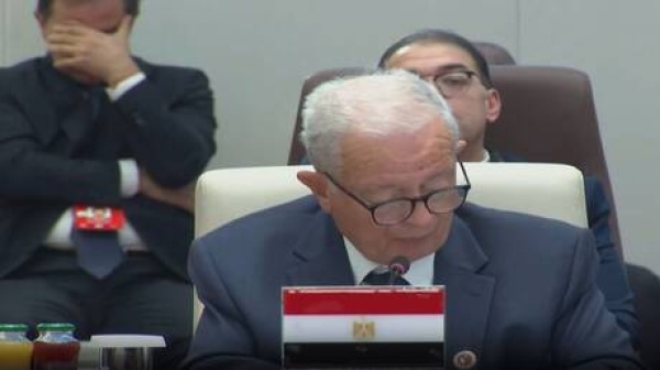 مصر تطالب بإصلاح مجلس الأمن وفقا لمتطلبات الدول الإفريقية مصر تطالب بإصلاح مجلس الأمن وفقا لمتطلبات الدول الإفريقية