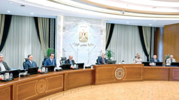 الحكومة المصرية تصدر بيانا بشأن مستشاريها بعد أزمة قناة السويس الحكومة المصرية تصدر بيانا بشأن مستشاريها بعد أزمة قناة السويس