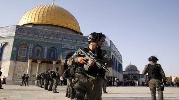 مصر تبحث مع منظمات يهودية أمريكية مستقبل غزة ومستجدات القضية الفلسطينية