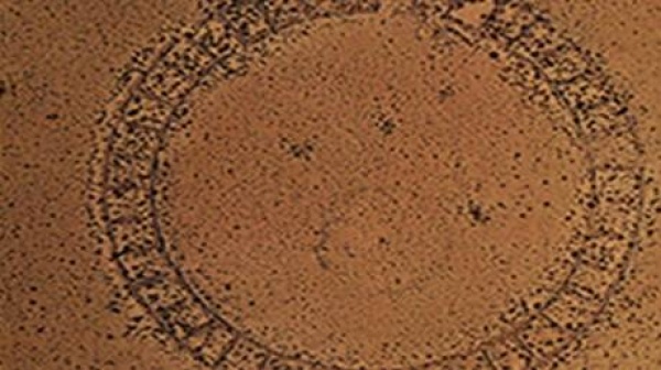 اكتشاف دوائر حجرية غامضة في جبال الأنديز على ارتفاع 3000 متر اكتشاف دوائر حجرية غامضة في جبال الأنديز على ارتفاع 3000 متر