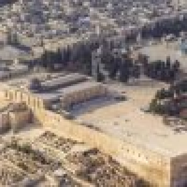 عشرات المستوطنين يقتحمون المسجد الأقصى مجدد ا عشرات المستوطنين يقتحمون المسجد الأقصى مجدد ا