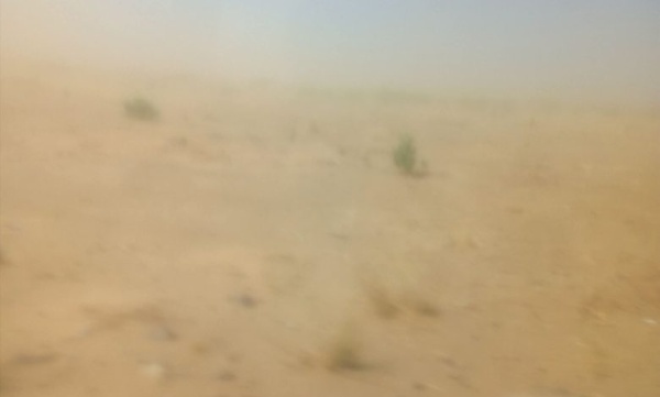 بداية موجة غبار تشمل عدد ا من الولايات بداية موجة غبار تشمل عدد ا من الولايات