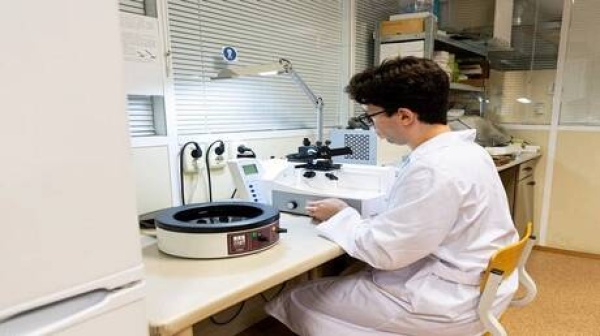 دراسة الإجهاد الحراري يضعف الوظيفة التناسلية للذكور