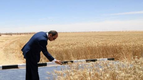 هل تهدد الحرب غذاء المصريين وزير التموين يحسم الجدل