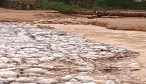 حبس مسؤول حكومي في حضرموت على إثر بلاغ عن مشروع خدمي تنموي طاله الخراب حبس مسؤول حكومي في حضرموت على إثر بلاغ عن مشروع خدمي تنموي طاله الخراب