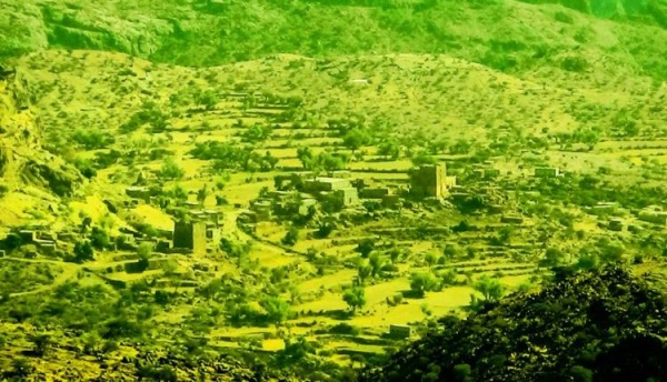 الضالع نجل شهيد يلقي حتفه في الازارق أثناء رعيه الأغنام الضالع نجل شهيد يلقي حتفه في الازارق أثناء رعيه الأغنام