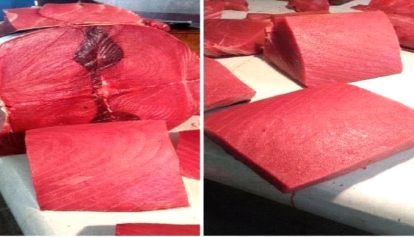 أسعار الأسماك اليوم الثلاثاء فى عدن 7 يونيو 2026م
