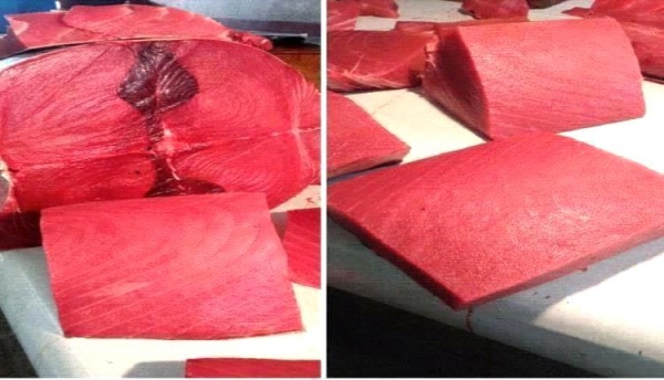 نار في سوق السمك بعدن والمواطن يدفع الثمن نار في سوق السمك بعدن والمواطن يدفع الثمن