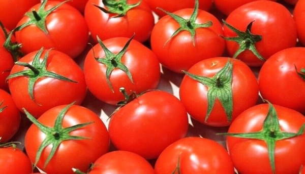 سر غذائي في الطماطم سر غذائي في الطماطم