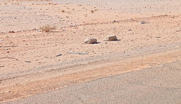 الأجهزة الأمنية في شبوة تحبط مخططا إرهابيا وتفكك 3 عبوات ناسفة على الخط الدولي
