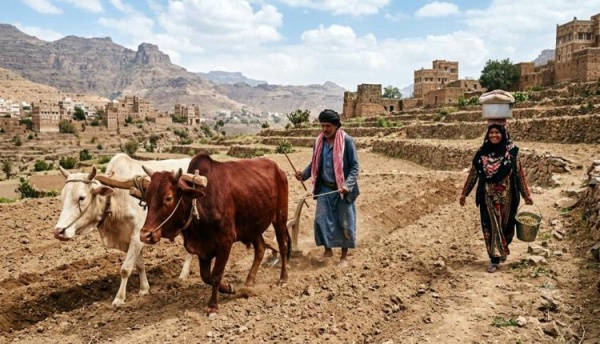 مصانجة وصنجان