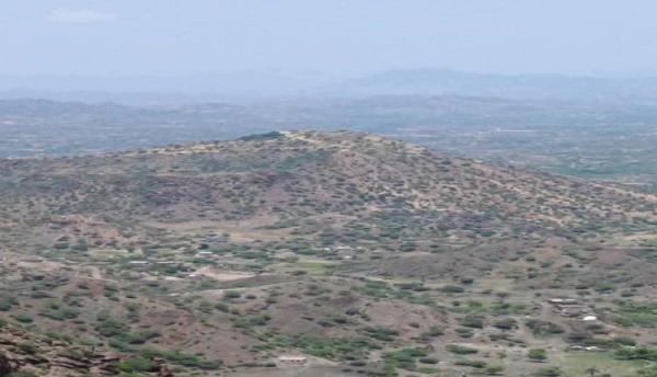 متحدث عسكري الحوثيون زجوا بـ كتائب الموت في كهبوب والقوات الجنوبية أحبطت محاولات التقدم متحدث عسكري الحوثيون زجوا بـ كتائب الموت في كهبوب والقوات الجنوبية أحبطت محاولات التقدم