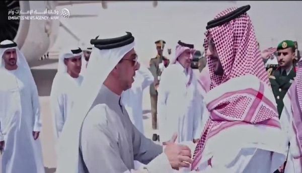 سبب زيارة منصور بن زايد وفق financial times