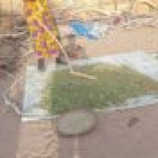 الأمم المتحدة تحذر من نفاد إمدادات الإغاثة الطارئة في السودان خلال أسابيع
