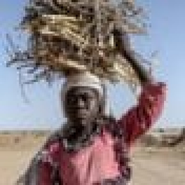 تحذيرات أممية من تصاعد هجمات المسي رات وتفاقم الأزمة الإنسانية بالسودان تحذيرات أممية من تصاعد هجمات المسي رات وتفاقم الأزمة الإنسانية بالسودان