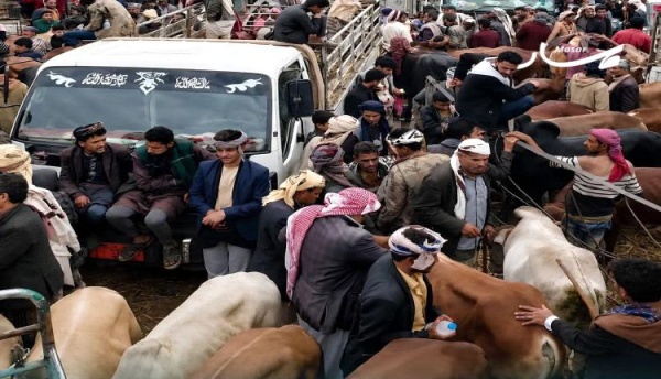 تفشي جدري الأبقار يهدد المواشي بمناطق سيطرة الحوثيين تفشي جدري الأبقار يهدد المواشي بمناطق سيطرة الحوثيين