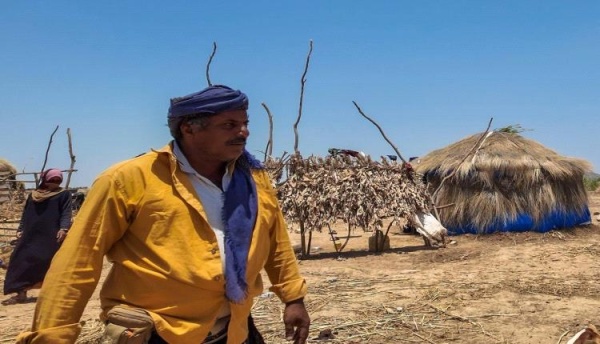 عودة مليون ي يمني نازحين داخليا إلى مناطقهم الأصلية عودة مليون ي يمني نازحين داخليا إلى مناطقهم الأصلية