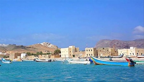 اختتام ورشة شراكة من أجل مستقبل مستدام في سقطرى اختتام ورشة شراكة من أجل مستقبل مستدام في سقطرى