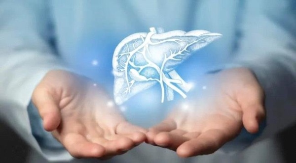 3 عادات صباحية بسيطة تدعم صحة الكبد 3 عادات صباحية بسيطة تدعم صحة الكبد