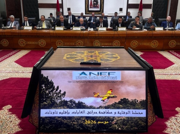 تاونات ترفع درجة التأهب لمواجهة حرائق صيف 2026 وتعلن حزمة إجراءات لحماية الغابات