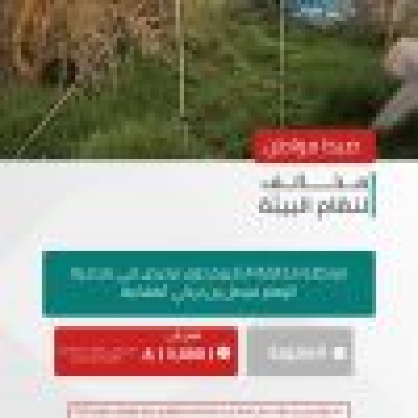 القبض على شخصين لمخالفتهما الأنظمة البيئية في محميت ي الإمام فيصل بن تركي والملك عبدالعزيز الملكيت ين القبض على شخصين لمخالفتهما الأنظمة البيئية في محميت ي الإمام فيصل بن تركي والملك عبدالعزيز الملكيت ين
