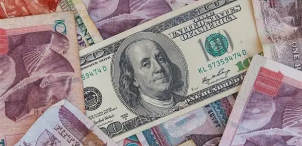 إرتفاع جديد للدولار في مصر إرتفاع جديد للدولار في مصر