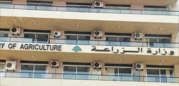 تسجيل حالات مرضي ة لدى الأبقار في القرعون وبيان توضيحي من وزارة الزراعة تسجيل حالات مرضي ة لدى الأبقار في القرعون وبيان توضيحي من وزارة الزراعة