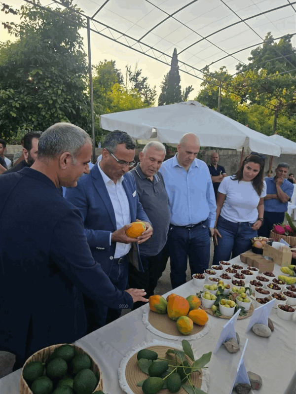 من وزارة الزراعة مشروع لتوزيع الشتول على 1150 مزارعا