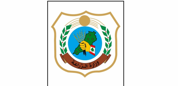 الزراعة أعلنت خارطة طريق لموسم التفاح 2026 فتح الأسواق وتعزيز التصدير وحماية الإنتاج الزراعة أعلنت خارطة طريق لموسم التفاح 2026 فتح الأسواق وتعزيز التصدير وحماية الإنتاج