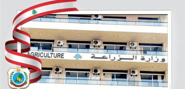 بمبادرة من وزارة الزراعة مجلس الوزراء يقر إعفاء بذور الخضر من الرسوم الجمركية