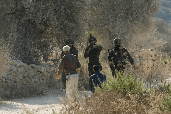 مستوطنون يهاجمون قاطفي الزيتون ويحرقون أشجارا في الضفة الغربية مستوطنون يهاجمون قاطفي الزيتون ويحرقون أشجارا في الضفة الغربية